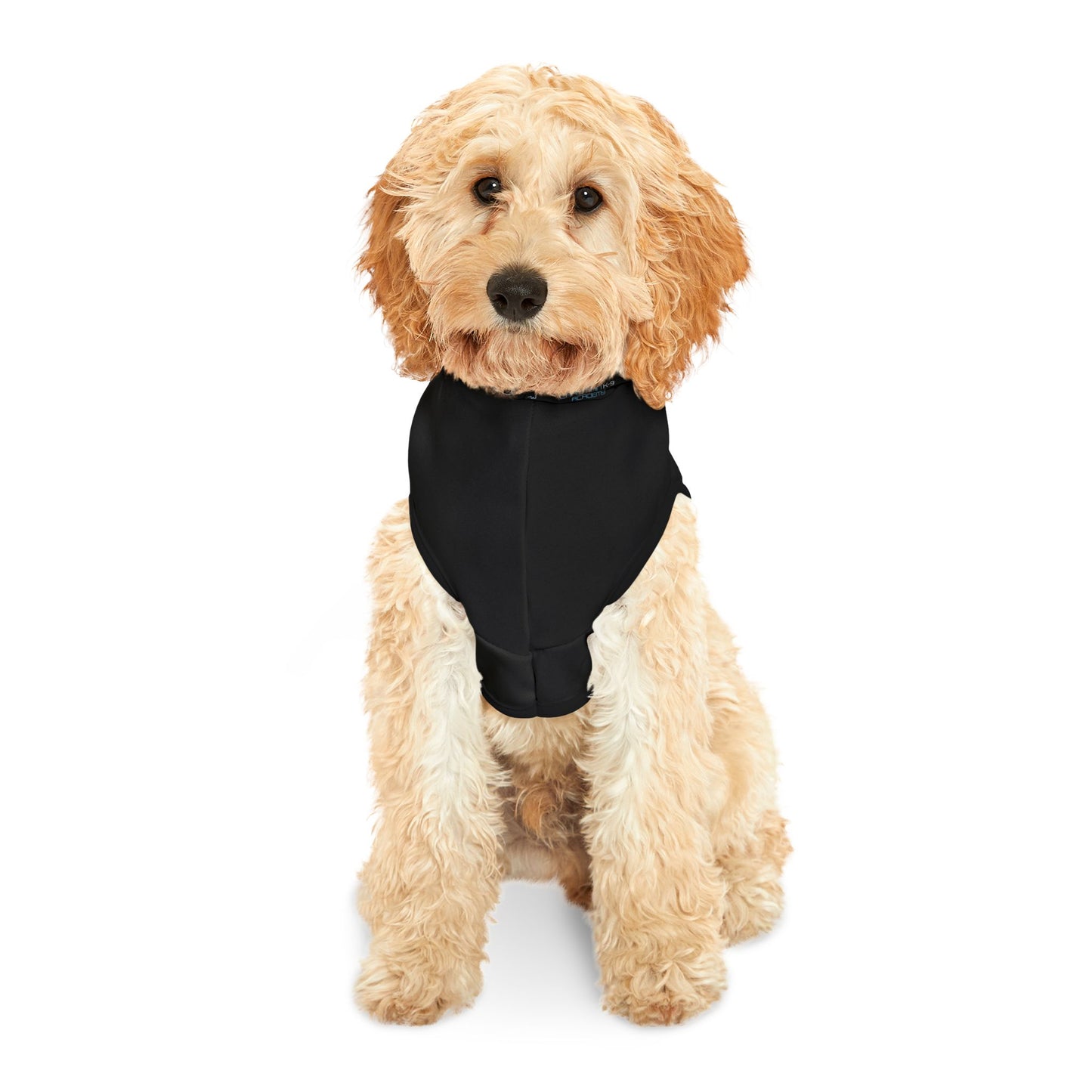 Christian K9 Pet Hoodie
