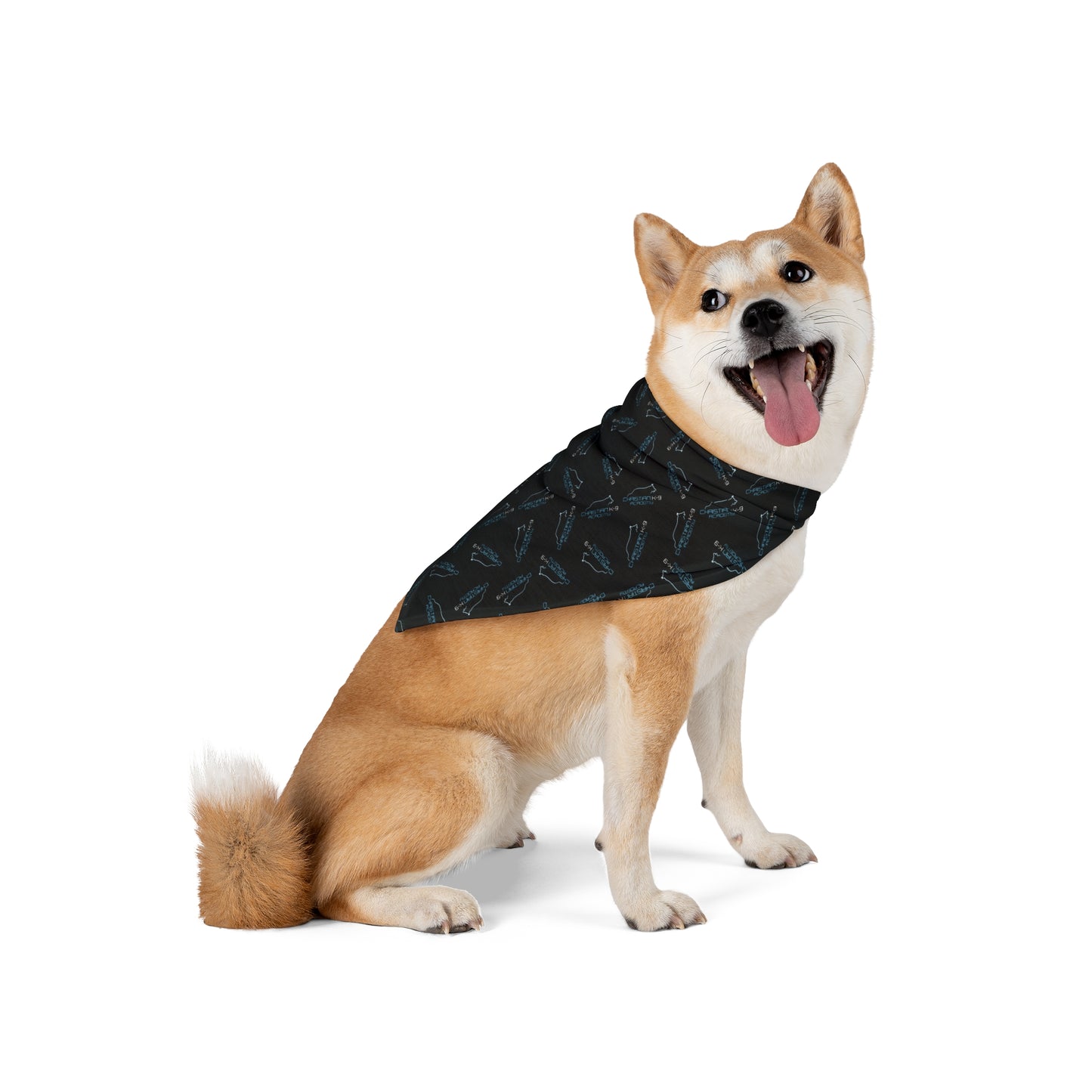 Christian K9 Black Pet Bandana