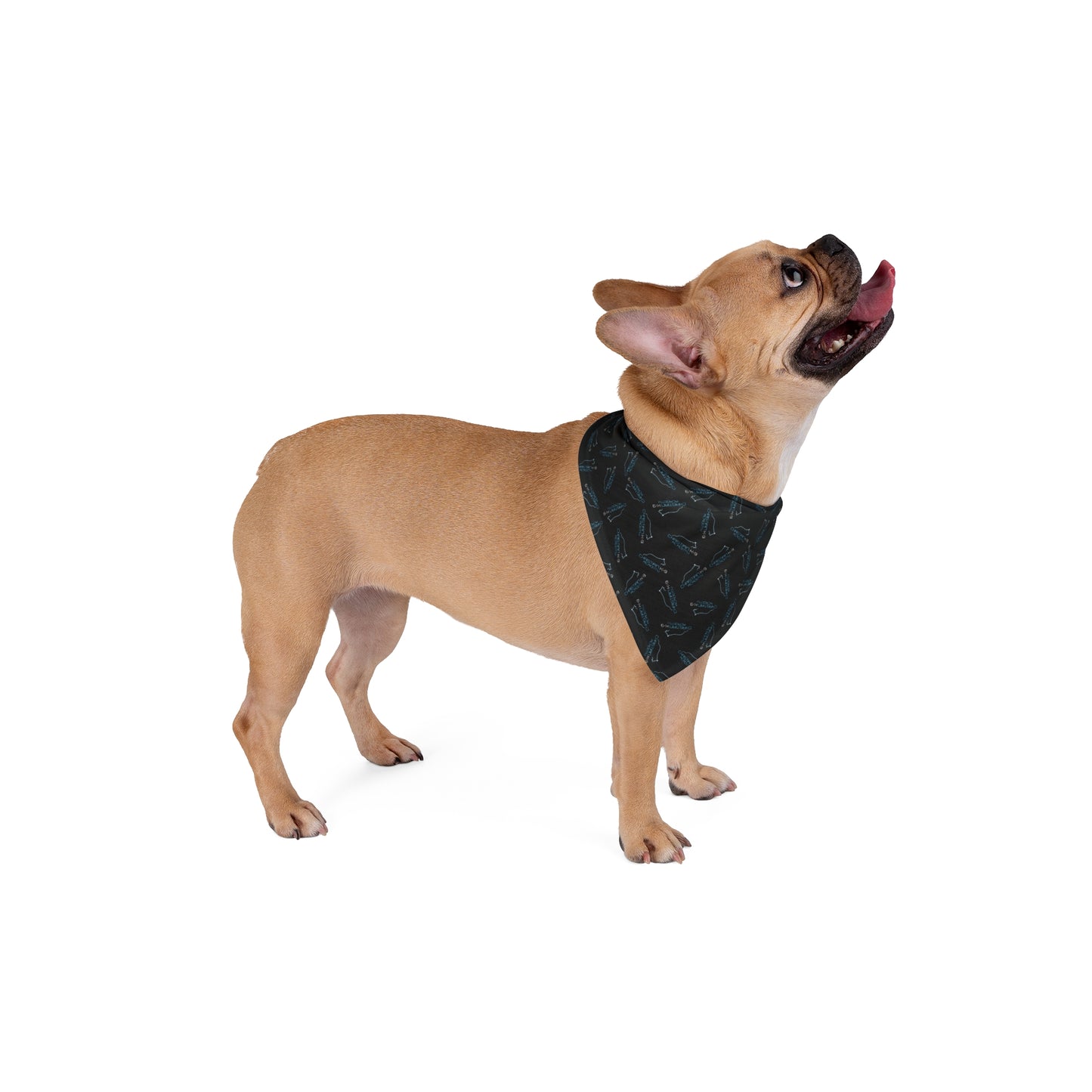 Christian K9 Black Pet Bandana